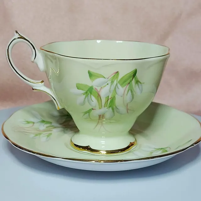 Royal Albert Laurentian Snowdrop Teacup & Saucer